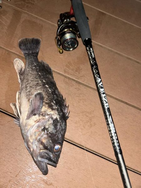 ボートメバリング！