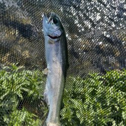 高島の泉でのんびり釣り🎣