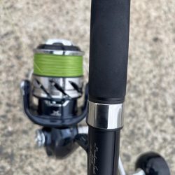 今日は活性低くし！