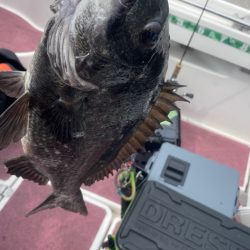 3ヶ月ぶりの釣行(インショア)