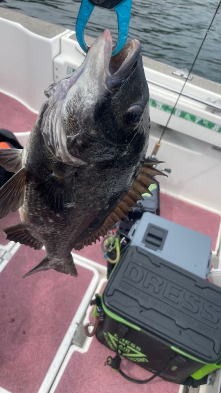 3ヶ月ぶりの釣行(インショア)