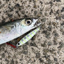 またしても…。