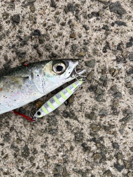 またしても…。