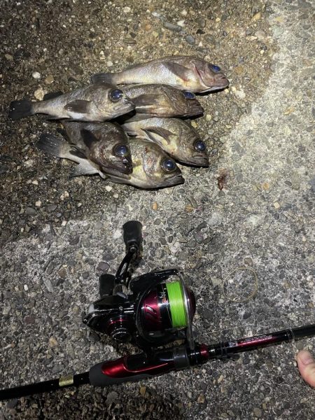 釣れたら楽しいね