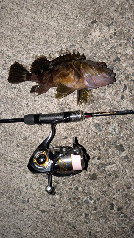 爆風メバリングのちガシリング