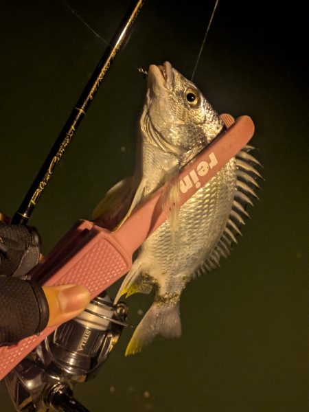 福田漁港ナイトライトゲーム