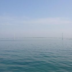 カゴ釣り 2 (嬉しいゲスト)