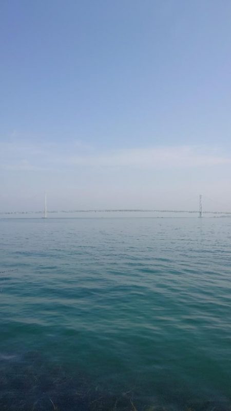 カゴ釣り 2 (嬉しいゲスト)