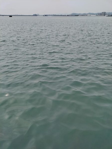 小サバ、メバル