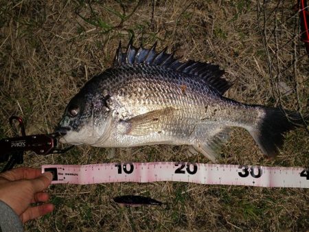 カラーローテーション