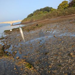 キス釣り