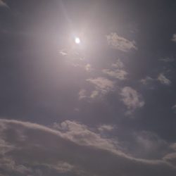 連日の春タチウオresearch