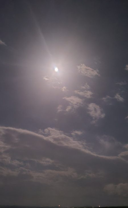 連日の春タチウオresearch