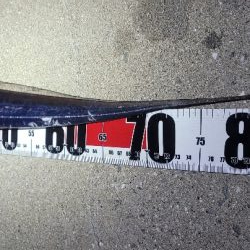 3度目になる春の太刀魚チャレンジ