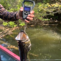 パワーフィネスで50up