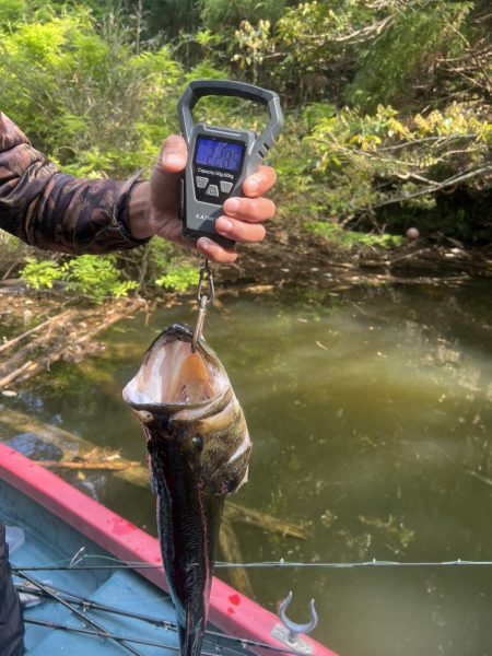 パワーフィネスで50up