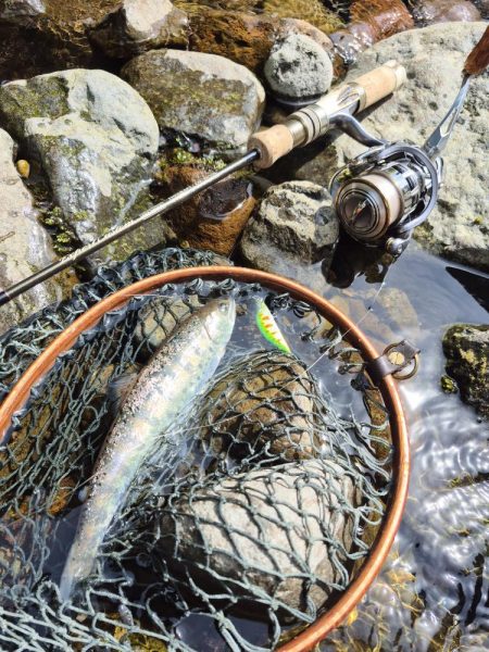 放流翌日昼からやけど結構出ましたよ