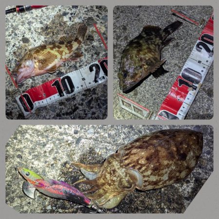 寒すぎた:;((•﹏•๑)));: