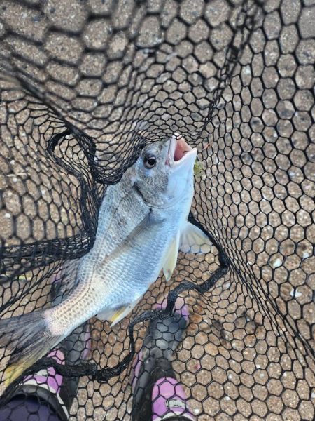 春爆チニング！