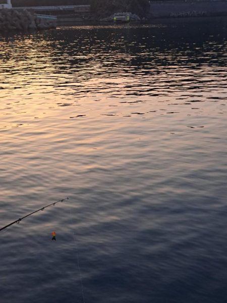 勢い良く沈み続ける電気ウキ