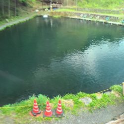 エリアトラウト