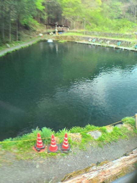 エリアトラウト