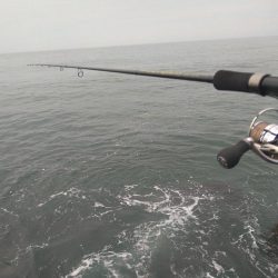 最近のデイゲーム