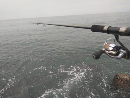 最近のデイゲーム