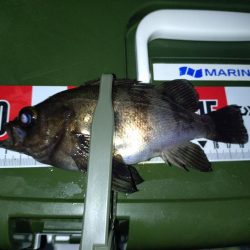 連敗脱出メバリング