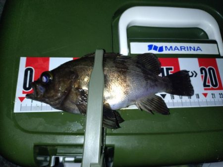 連敗脱出メバリング