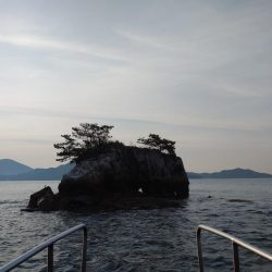 春到来！芸予諸島のチヌ釣り