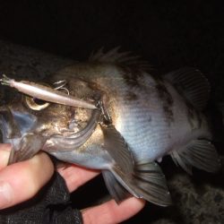 新しいリールで