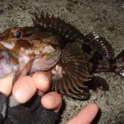 風が止んでから