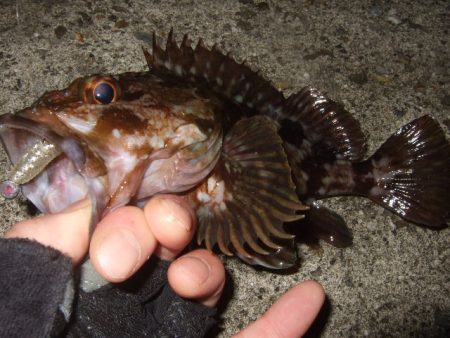 風が止んでから