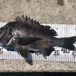 イチノ兄弟、釣果！