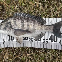 イチノ兄弟、釣果！