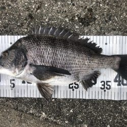 イチノ兄弟、釣果!