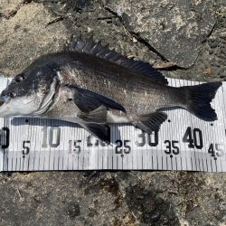 イチノ兄弟、釣果！