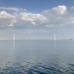 桜の乗っ込みチヌ!