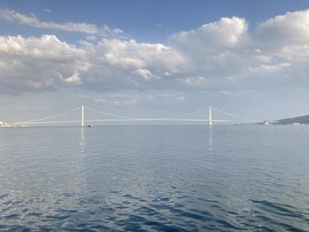 桜の乗っ込みチヌ!