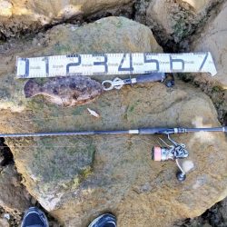 今月も釣れるとは…