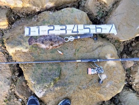 今月も釣れるとは…