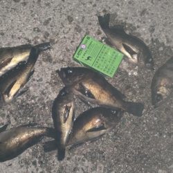 あたりぼちぼち