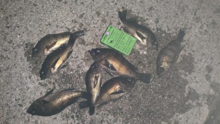 あたりぼちぼち