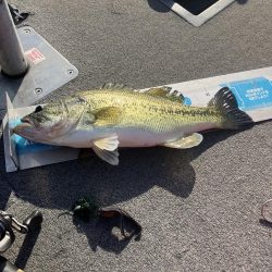 GW初日北山田55〜40cm 4発