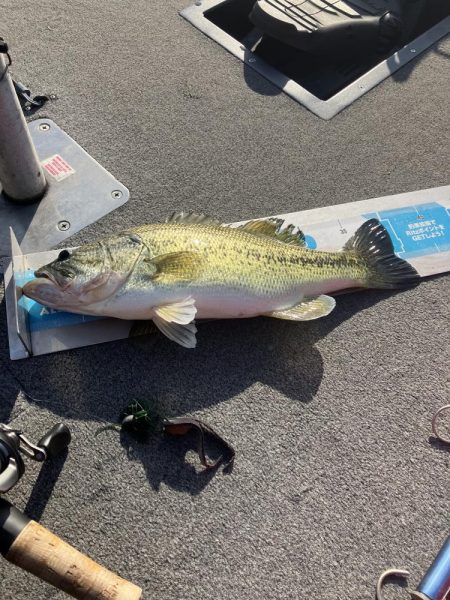 GW初日北山田55〜40cm 4発