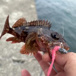 春のガッシー祭り5th