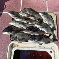 3ヶ月ぶりの釣行(インショア)