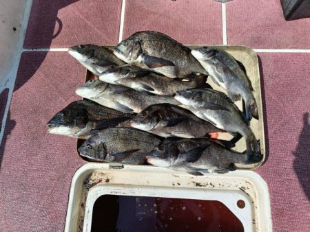 3ヶ月ぶりの釣行(インショア)