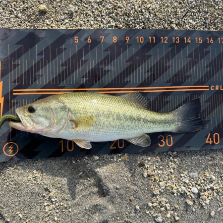 スポーン突入💦